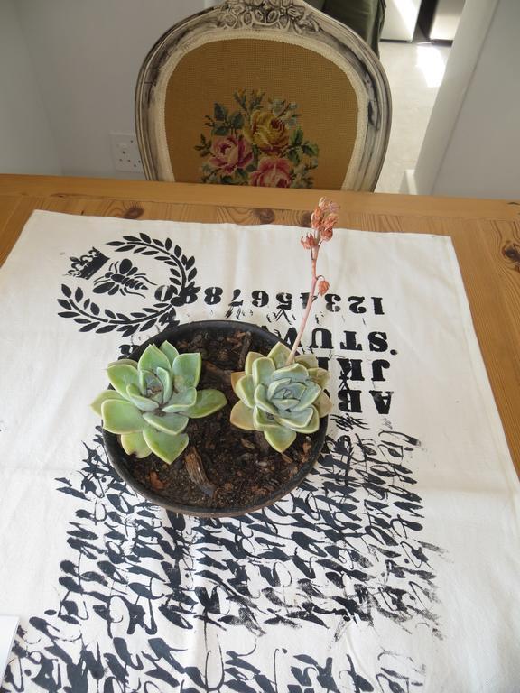 Camps Bay Studio Guesthouse - Studio كيب تاون المظهر الخارجي الصورة